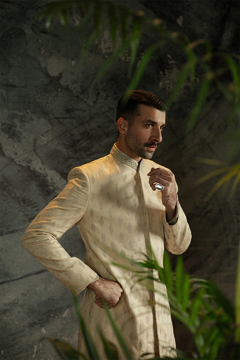 'Shahrukh' Sherwani