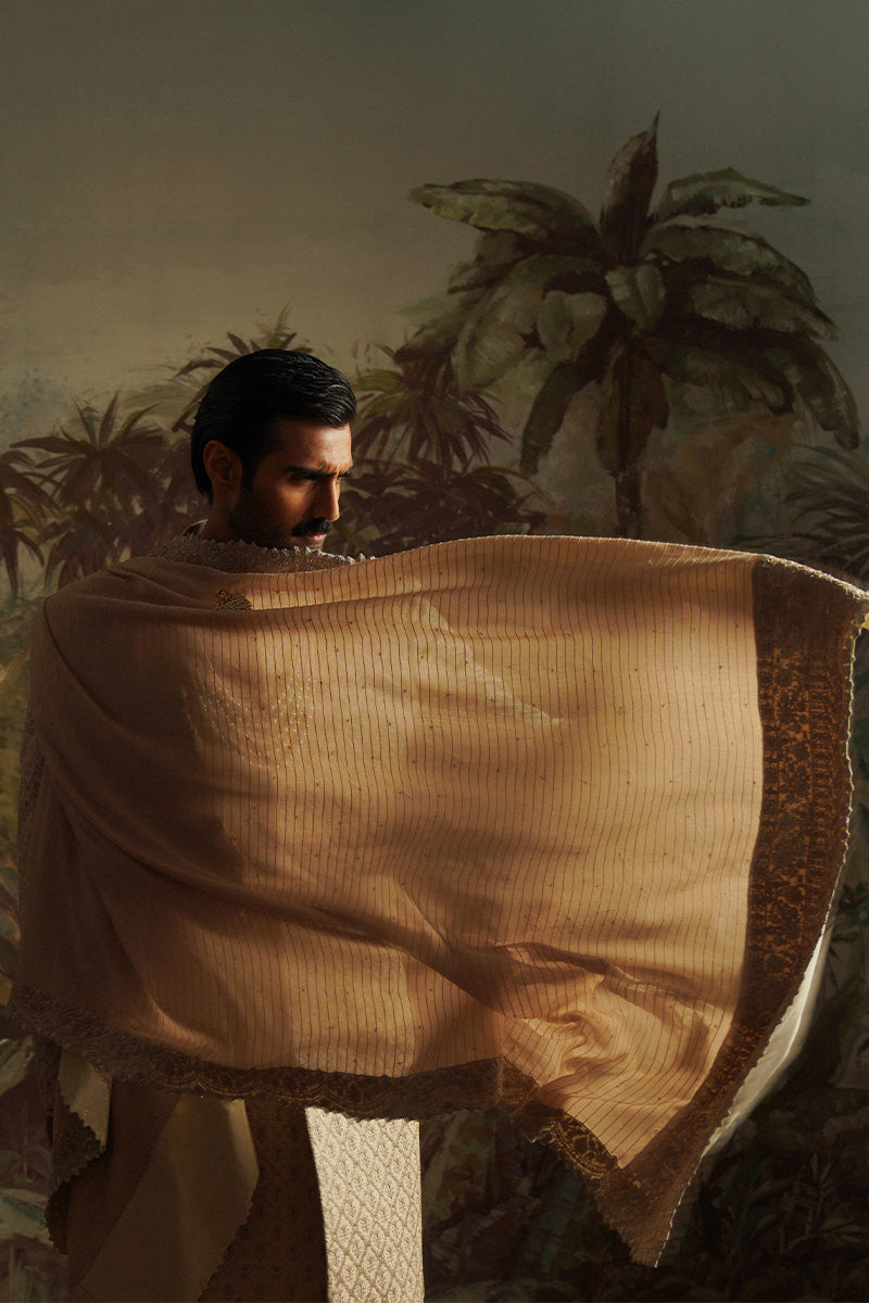 "Hasnain" Champagne Embroidered Shawl