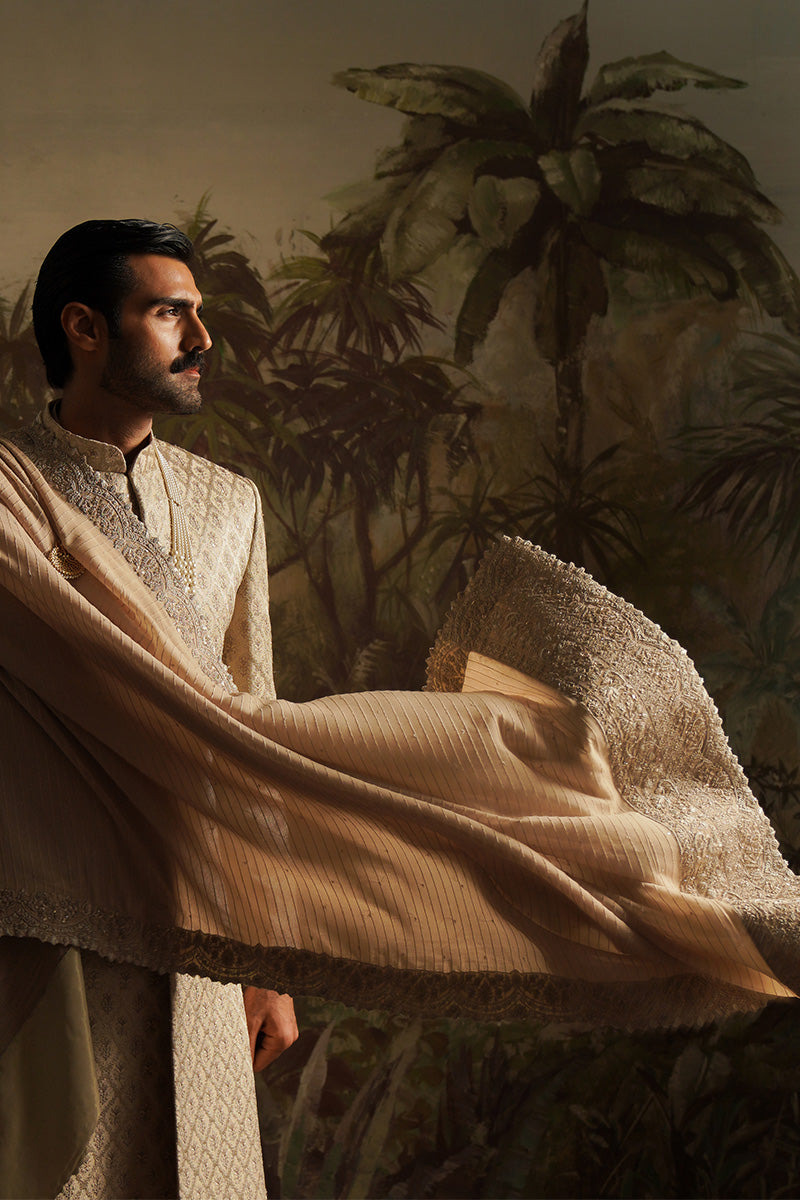 "Hasnain" Champagne Embroidered Shawl