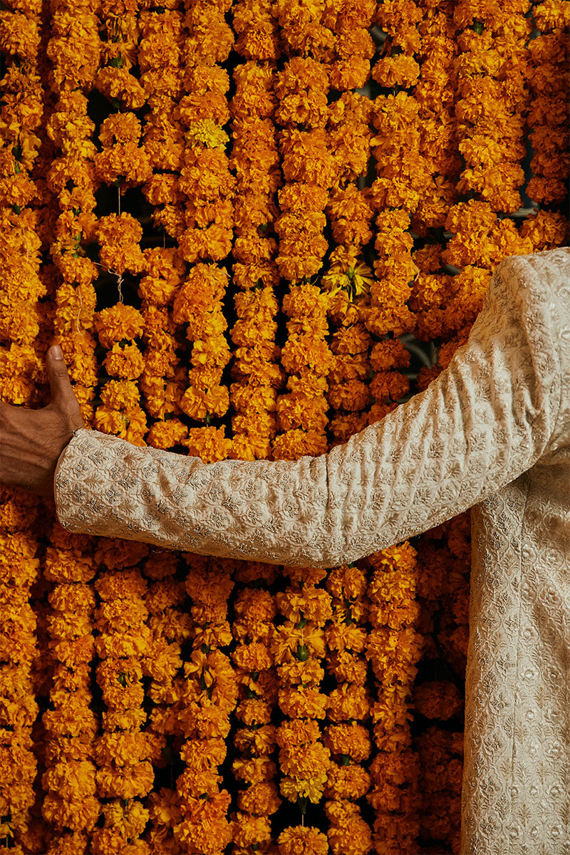 PORCELAIN WHITE SHERWANI